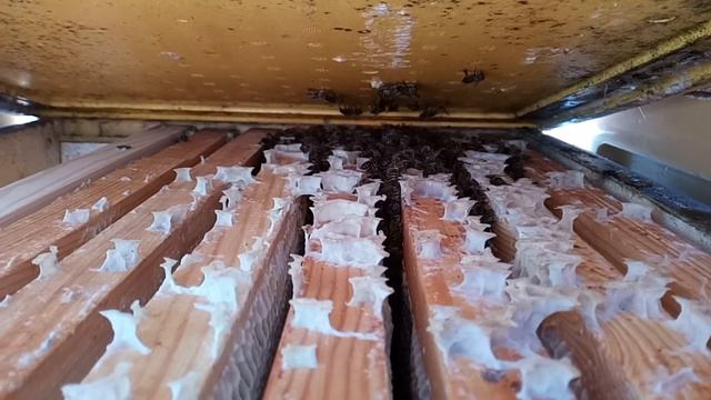 Правильная зимовка в ППУ ульях. смотреть онлайн