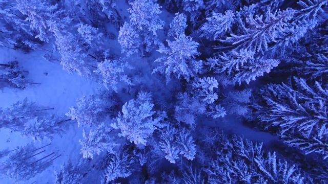 Beautiful music for relaxing•Sleeping Music•Music for Stress Relief • For meditation•Music for soul смотреть онлайн