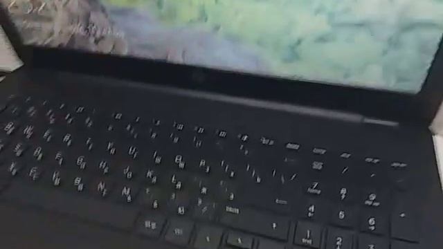 Видео №353331