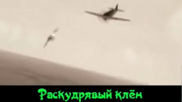 Смуглянка- смотреть онлайн