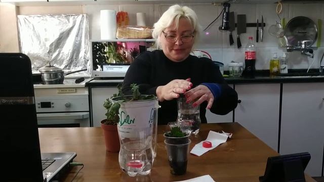 Как оставить на долгое время растения без полива смотреть онлайн