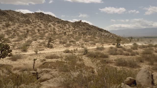 Оборотень / Волчонок / Teen Wolf – 4 сезон 12 серия смотреть онлайн