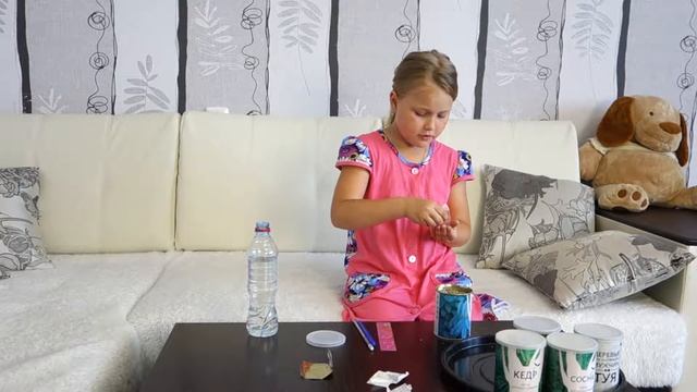 Умные растения кедр, сосна, ель, туя, эвкалипт смотреть онлайн