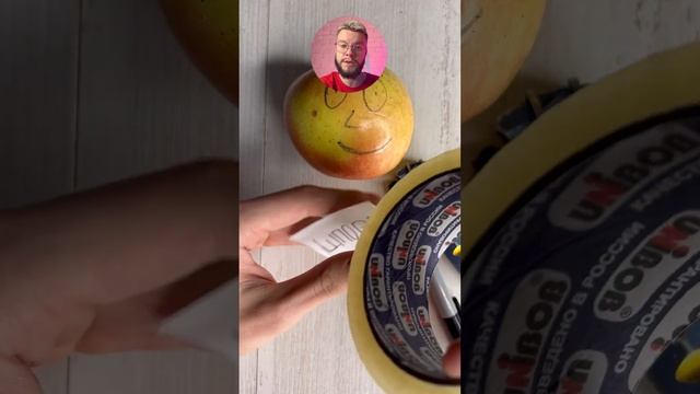 Как пронести шпаргалку на экзамен #обществознание #егэ2023 #егэ #егэобществознание #обществоегэ #ог смотреть онлайн