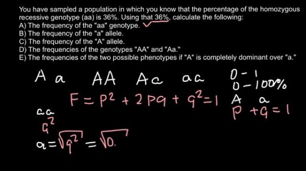 How to solve H-W genetics problems