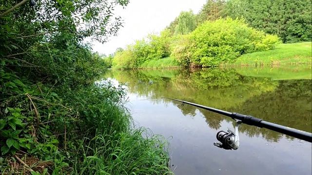 Рыбалка у дома на поплавок в новом месте!Отличный бонус у берега! смотреть онлайн