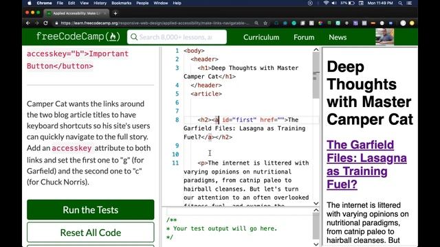 freeCodeCamp's Make Links Navigatable with HTML Access Keys, Learn Web Accessibility смотреть онлайн