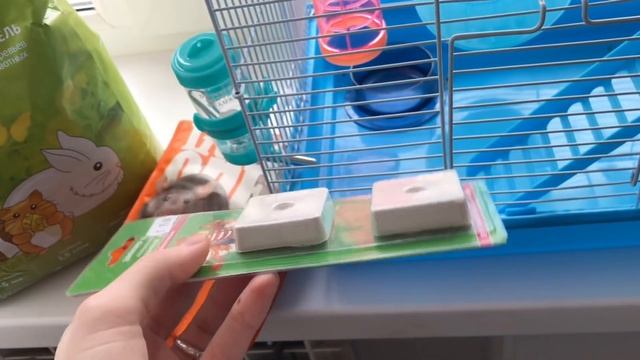 Mini vlog: Стали родителями смотреть онлайн