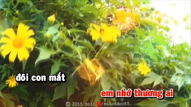 [HD] Karaoke Trống Cơm - full beat organ ( Karaoke by Kgmnc ) смотреть онлайн
