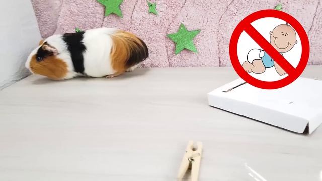 Свинка Бузя: Веселье В Лаборатории ?? смотреть онлайн