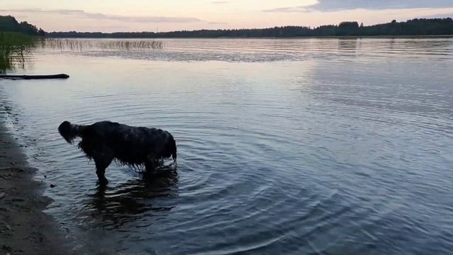 Селигер смотреть онлайн