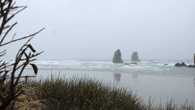Fujifilm XH2 Cinematic Travel Video - Oregon Coast смотреть онлайн