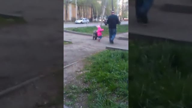 Находчивый дедуля или как гулять с непослушным ребенком смотреть онлайн