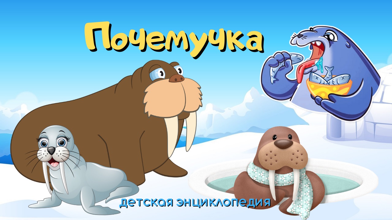 0+ Ходят ли звери в детский сад? Почемучка. Детская энциклопедия. смотреть онлайн