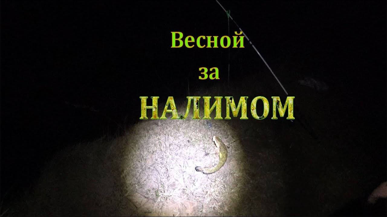 Еду за налимом. Весна. смотреть онлайн