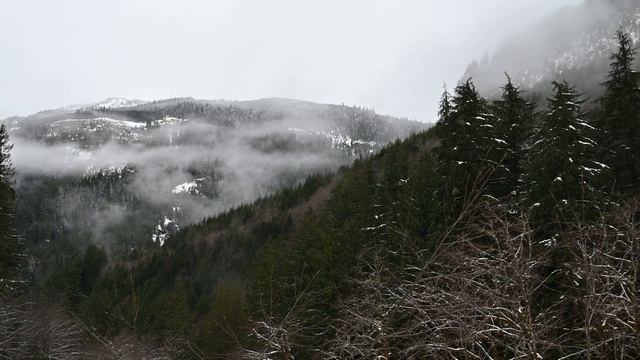 Swimming 4Runners Part 1 | Offroad Adventures Near Vancouver (Foley Lake) | 4th Gen 4runners - S1/E