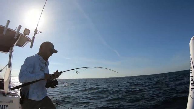 Anna Maria Island Fishing for Grouper - Shallow Water GAG GROUPER (Best Bait) смотреть онлайн