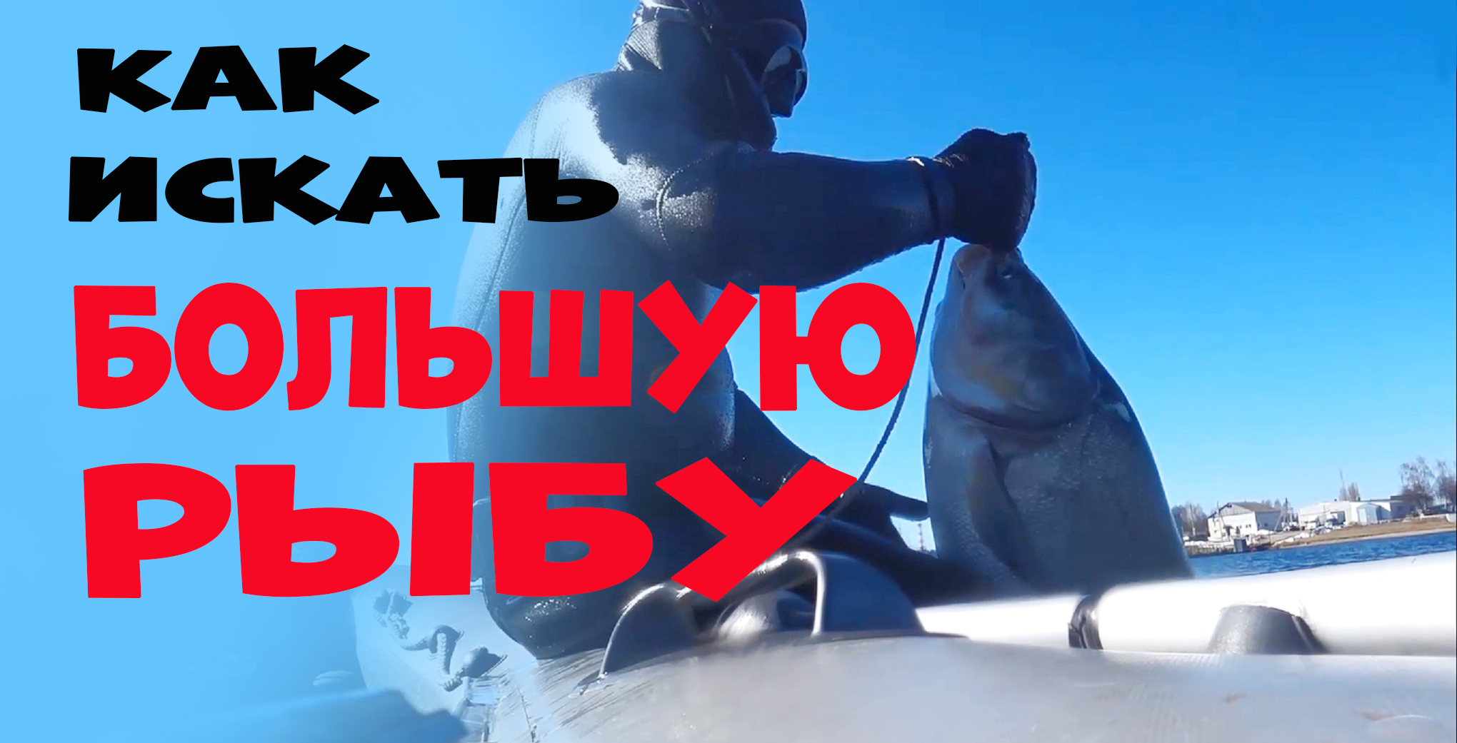 ОХОТА НА ТОЛСТОЛОБИКА!!! ИСКАТЬ, НАЙТИ, ВЗЯТЬ!!! смотреть онлайн