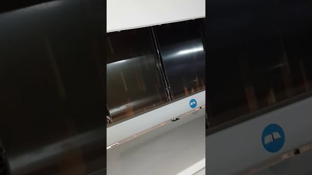 Переработка грецкого ореха на "SORTEX" смотреть онлайн