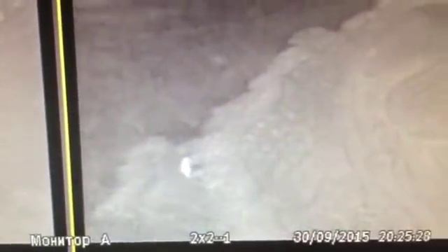 Камеры наблюдения Гизельдонской ГЭС зафиксировали леопарда смотреть онлайн