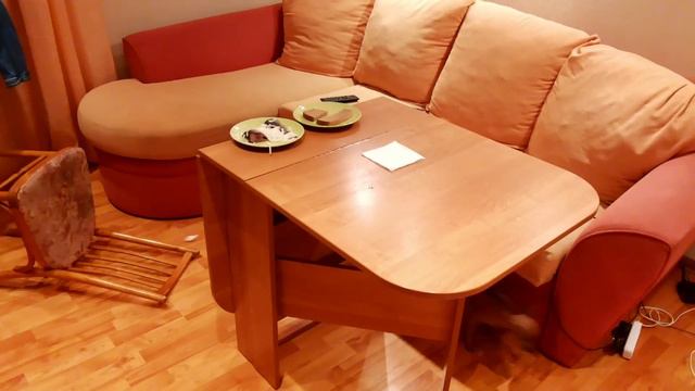 Как отучить собаку лазить на стол смотреть онлайн