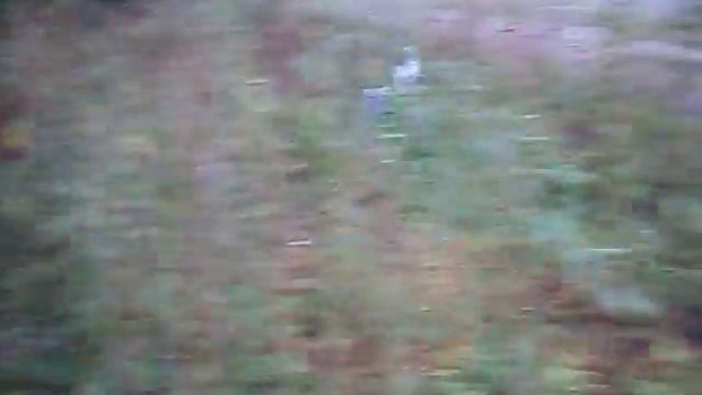 Идолы живут в Фошне!! “Там русской дух… там Русью пахнет!” смотреть онлайн