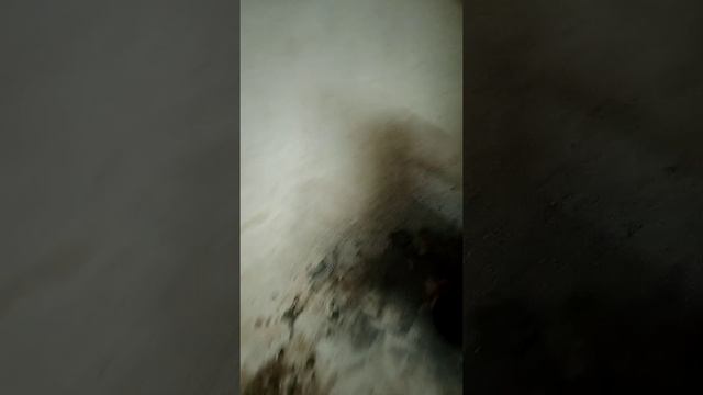 Гравёр Dexter. Демонтаж ржавых, чугунных труб от ванны! смотреть онлайн