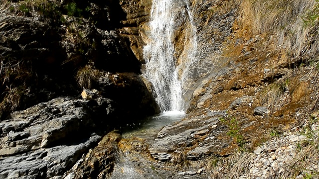 DSC_1126 смотреть онлайн