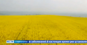 На Ставрополье проврят здоровье озимых