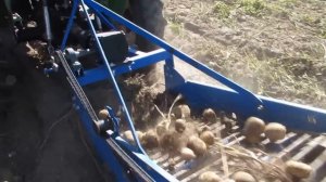 Копка картофеля картофелекопалкой 4u-1