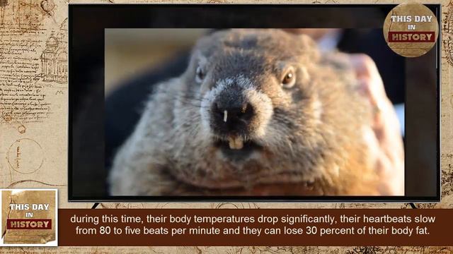 First Groundhog Day in 1887 - This Day In History смотреть онлайн