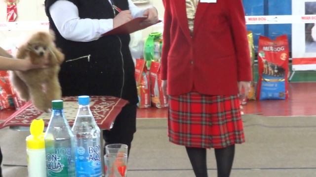 03.03.12"Весенний звездопад"г.Усолье-Сибирское CВ Патриция смотреть онлайн