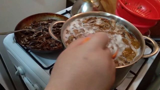 Варим Грибы смотреть онлайн