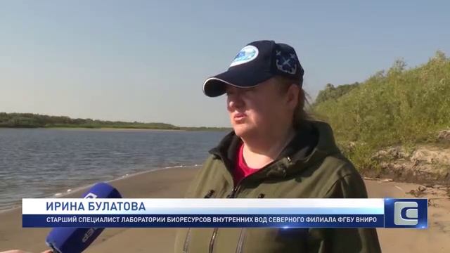 Исследования на озере Голодная Губа смотреть онлайн