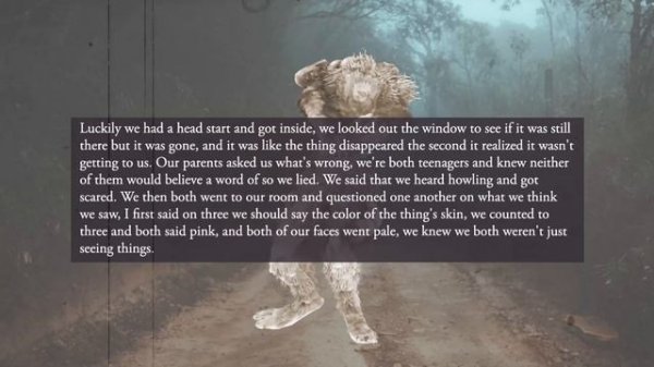 10 Monstrous Cryptid Encounters from Reddit: Cryptid Episode 1:7