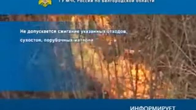 Сжигание сухой травы и мусора запрещается смотреть онлайн