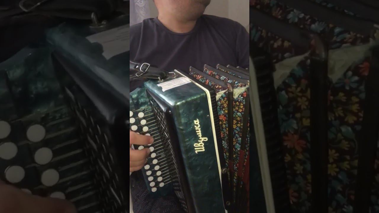 Вставочка #наигрыши #harmonika #рек смотреть онлайн