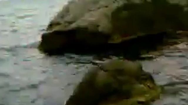 videoplayback196.mp4 смотреть онлайн