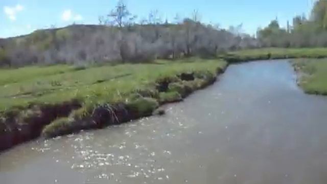 кастенговая сеть из старой сетки смотреть онлайн