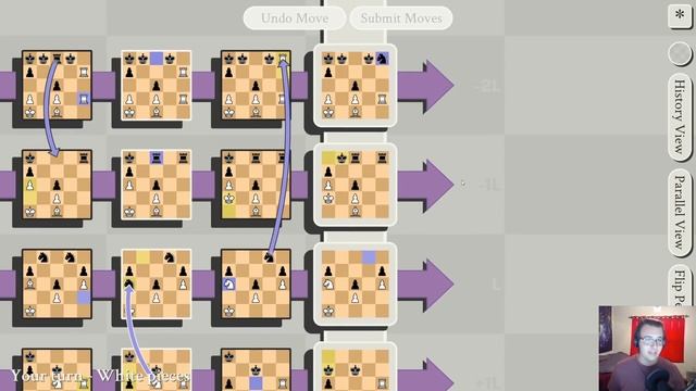 5D Chess With Multiverse Time Travel - Yes, Seriously смотреть онлайн