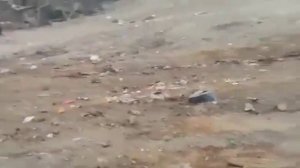 Медведь нападает