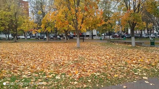 12.10.2023---Кстово. смотреть онлайн