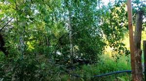 Славянск. 1 августа 2024г. Вечер.