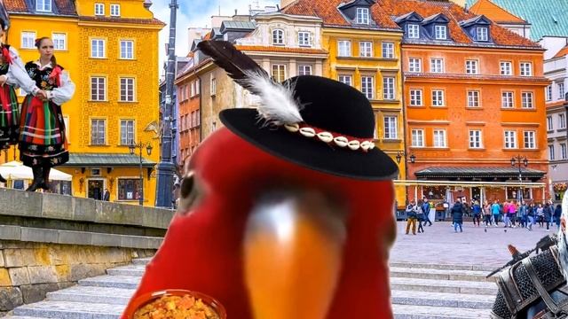 Red Bird in different languages meme! смотреть онлайн