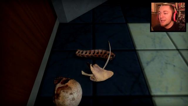 Gmod Elevator Source | CATS, DEATH & AWKWARDNESS! (Garry's Mod) смотреть онлайн