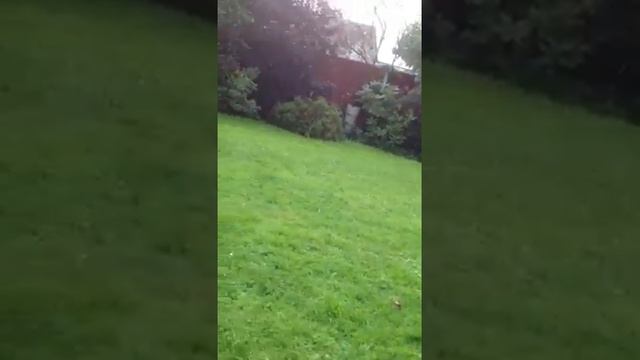 Freya and Oscar 13 August смотреть онлайн