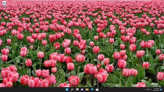Minecraft Launcher Won’t Open On Windows PC [Solution] смотреть онлайн