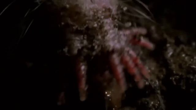What They Discovered In Australia Shocked the Whole World смотреть онлайн