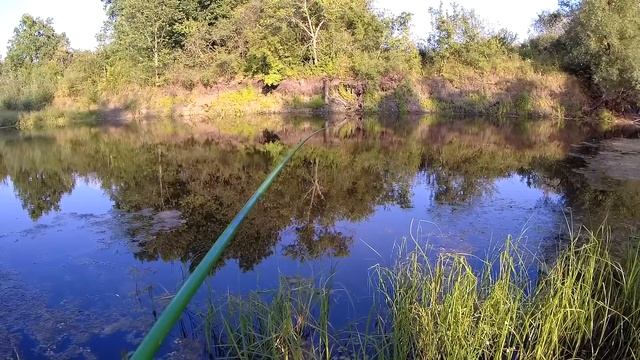 Ловля карася. Рыбалка на поплавок. смотреть онлайн