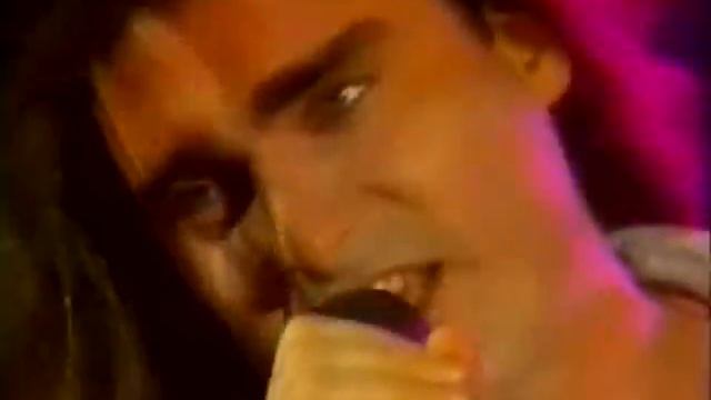 Winter Rose - I'll Never Fall In Love Again (1987) смотреть онлайн
